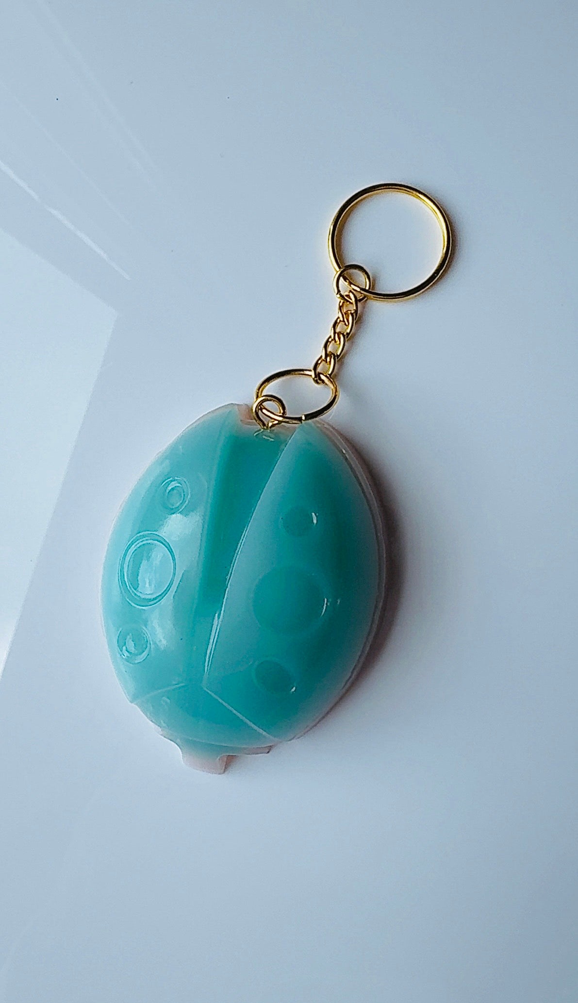 Lady Bug Keychain