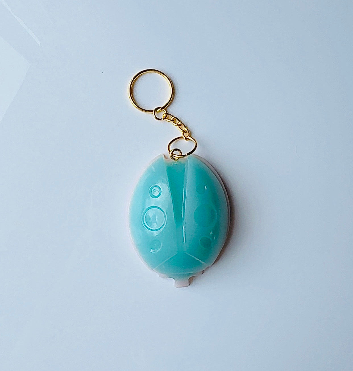 Lady Bug Keychain