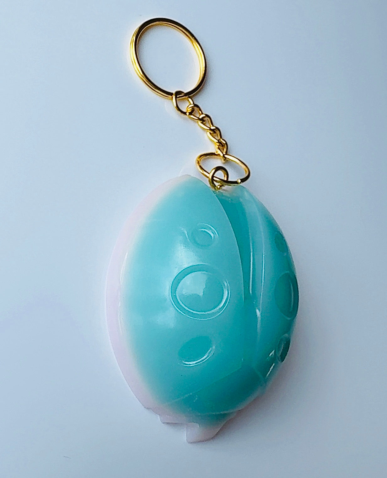 Lady Bug Keychain