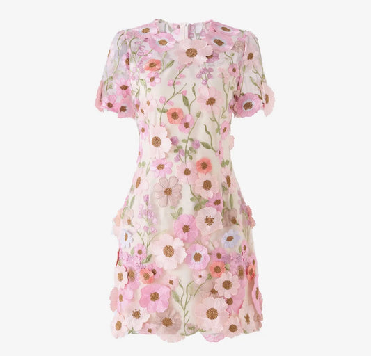 Floral 3D Mini Dress Blush